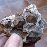 Magnesita
5 x 5 cm
(Autor: Cristalino)