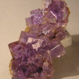 Fluorita
6,5 x 3 cm
(Autor: Frederic Varela)