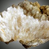 Celestina
80 x 50 x 45 mm.
(Autor: José Luis Zamora)
