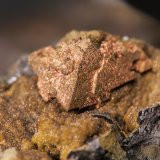 Cobre
Boinás Este, Boinás, Belmonte de Miranda, Comarca Oviedo, Principado de Asturias (Asturias), España
Cristal de 8 mm
(Autor: Manuel Mesa)