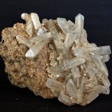 Celestina
6 x 6 cm
(Autor: Pedro Antonio)