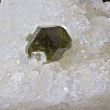 Uvita (Grupo Turmalina), Magnesita
7,4 x 4,4 cm,
(Autor: Xavier bordas)