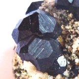 Andradita (Grupo Granate)
2 x 1,8 cm. la zona de cristales
(Autor: javier ruiz martin)