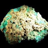 Auricalcita.
60x60 mm.
(Autor: Jesus Franquesa Baucells)