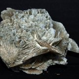 Yeso
7.5 x 6 cm
(Autor: Pedro Antonio)