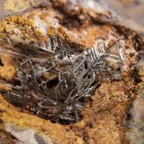 Cobre
Mina El Valle, Plataforma 488, Begega, Belmonte de Miranda, Comarca Oviedo, Principado de Asturias (Asturias), España
Detalle de 4x3 cm
(Autor: Manuel Mesa)