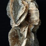 Yeso
11 x 7.5 cm
(Autor: Pedro Antonio)