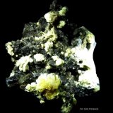 Celestina y Azufre.
90x90 mm.
(Autor: Jesus Franquesa Baucells)