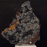 9 x 7.5 cm
(Autor: Pedro Antonio)