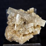 Celestina
4.5 x 3 cm
(Autor: Pedro Antonio)