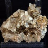 Celestina
3.5 x 3 cm
(Autor: Pedro Antonio)