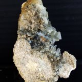 Celestina
8 x 5 cm
(Autor: Pedro Antonio)