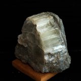 Celestina
6 x 7 cm
(Autor: Pedro Antonio)