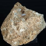 Celestina
5 x 4 cm
(Autor: Pedro Antonio)