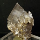 Yeso
6.5 x 4.5 cm
(Autor: Pedro Antonio)