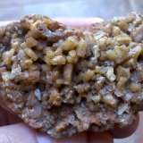 Piromorfita
6,5 x 3 cm
(Autor: Cristalino)