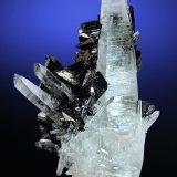 Tetraedrita, Hübnerita, Cuarzo
92 mm x 61 mm
(Autor: Carles Millan)