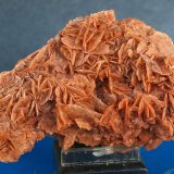 Yeso
Explotación de arcillas, El Bancal Fondo, Barranc de la Font del Lobo, Tibi, Comarca Hoya de Alcoy, Alicante / Alacant, Comunidad Valenciana / Comunitat Valenciana, España
10 x 6 cm
(Autor: Pedro Antonio)