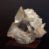 6 x 6 cm
(Autor: Pedro Antonio)