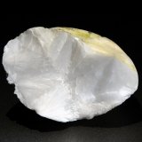 Escolecita
7 x 6 cm.
(Autor: Antonio P. López)