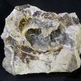 Celestina
9 x 7,5 x 4 cm
(Autor: Javier Rodriguez)