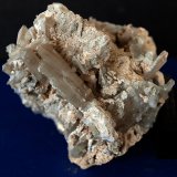 Celestina
7 x 6.5 cm
(Autor: Pedro Antonio)