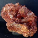 Yeso
9 x 6.5 cm
(Autor: Pedro Antonio)
