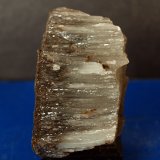 Celestina
7 x 3.5 cm
(Autor: Pedro Antonio)