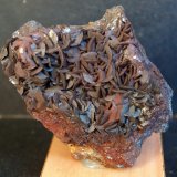 Siderita
7 x 6 cm
(Autor: Pedro Antonio)