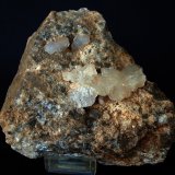Celestina
14 x 11 cm
(Autor: Pedro Antonio)