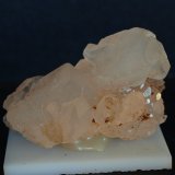 Celestina
5.5 x 3.5 cm
(Autor: Pedro Antonio)