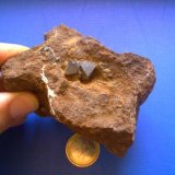 Magnetita
8x7cm
(Autor: José Luis G.)