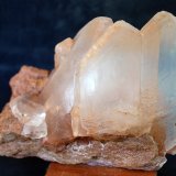 Yeso
11 x 7.5 cm
(Autor: Pedro Antonio)