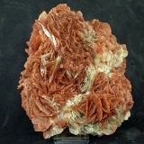 Yeso
16 x 13 cm
(Autor: Pedro Antonio)