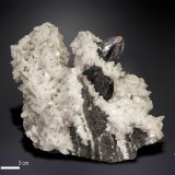 Cinabrio
80 X 30 mm
(Autor: Manuel Mesa)