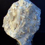 Celestina
9 x 7 cm
(Autor: Pedro Antonio)