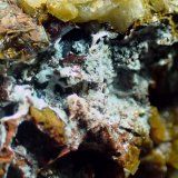 Hemimorfita, Cuarzo y Dolomita
Medida: 7,2 x 3,7 x 3,4 cms
(Autor: Joan Martinez Bruguera)