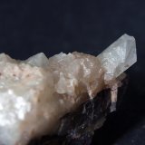 Celestina
7 x 4 cm
(Autor: Pedro Antonio)