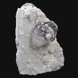 Calcita, Girolita
6,3 x 4,5 cm.
(Autor: Xavier bordas)