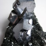 Galena
12 cm
(Autor: marco campos-venuti)