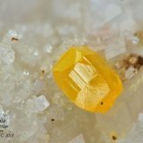 Wulfenita
0.9 mm
(Autor: Antonio Abril)