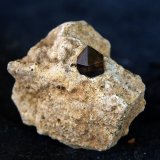 Cuarzo (variedad morión)
2.5 x 2.5 cm.
(Autor: Pedro Antonio)