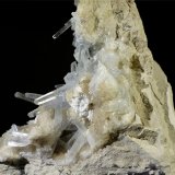 Celestina
6 x 7 x 4 cm
(Autor: Javier Rodriguez)