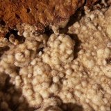 Fluorapatito (variedad carbonato-fluorapatito)
4 x 3 x 0,5 cm
(Autor: Javier Rodriguez)