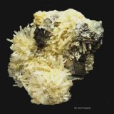 Pirrotita y Cuarzo.
80x60 mm.
(Autor: Jesus Franquesa Baucells)
