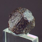 Rutilo
Medida: 1,6 x 1,4 x 1,2 cms
(Autor: Joan Martinez Bruguera)