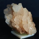 Celestina
6 x 4 cm
(Autor: Pedro Antonio)