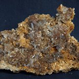 Celestina
9 x 5.5 cm
(Autor: Pedro Antonio)