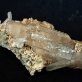 Celestina
7.5 x 3.5 cm
(Autor: Pedro Antonio)