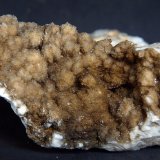 Celestina
11 x 4.5 cm
(Autor: Pedro Antonio)